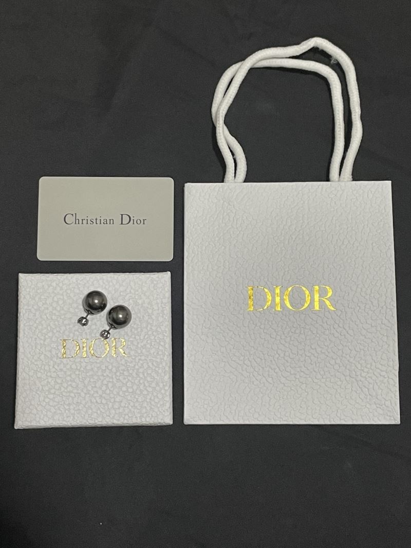 Christian Dior Earrings